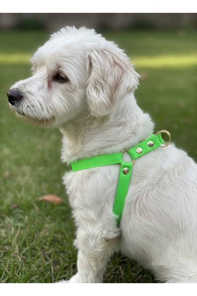 balkonda Dog Collar for Small and Tiny Breeds Adjustable 1.5cm Width Column Cord Highlight Green