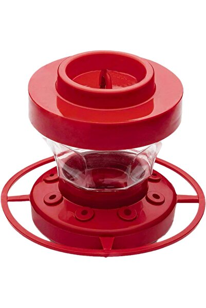 Arabest Bird Feeder Bird | Hummingbird Flower Feeder | Outdoor Cage Bird Feeder | Detachable Bird Feeder | P
