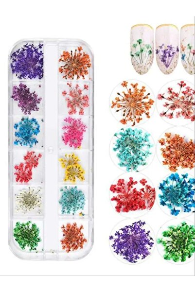 Choice قطعة واحدة من ملصقات تزيين الأظافر بأزهار مجففة متنوعة، بتصميم ثلاثي ا...