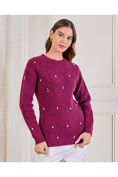 REDTAG Women Burgundy Knitted Sweater