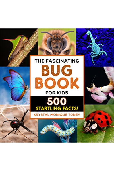 Rockridge Pr The Fascinating Bug Book for Kids: 500 Startling Facts!
