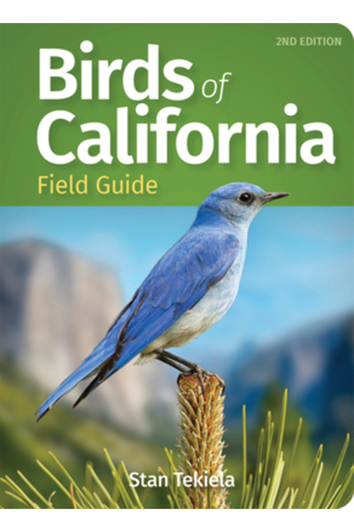 Adventurekeen Ghid de teren pentru păsările din California