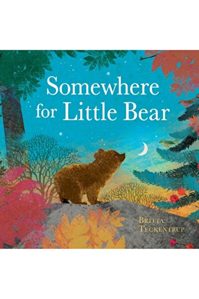 Crocodile Books Undeva pentru Ursulețul Mic