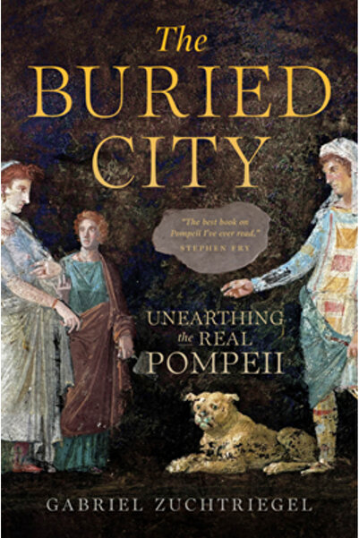 Univ Of Chicago Pr Orașul îngropat: Dezgroparea adevăratului Pompei