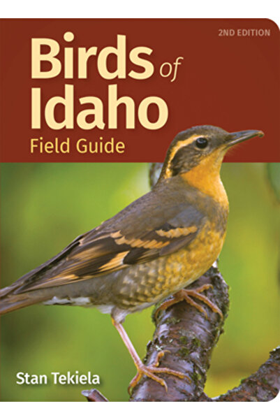 Adventurekeen Ghid de teren pentru păsările din Idaho