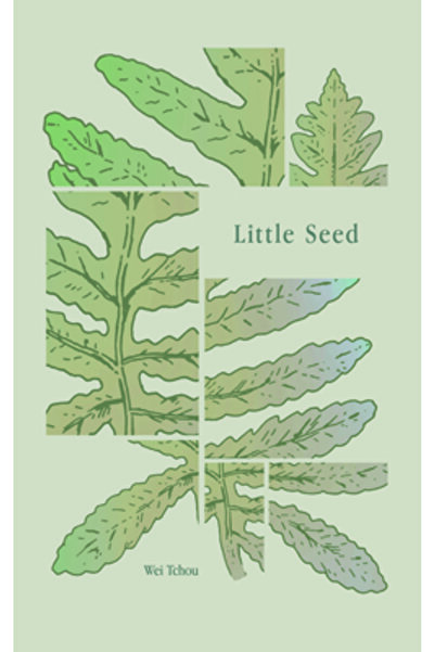 Strange Object Mică sămânță