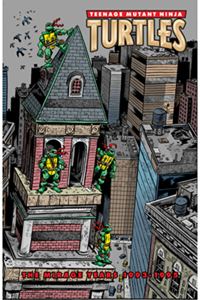 Idea & Design Works Llc Țestoasele Ninja: Anii Mirajului (1993-1995)