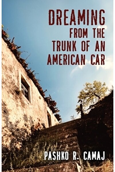 Mindstir Media Visând din portbagajul unei mașini americane