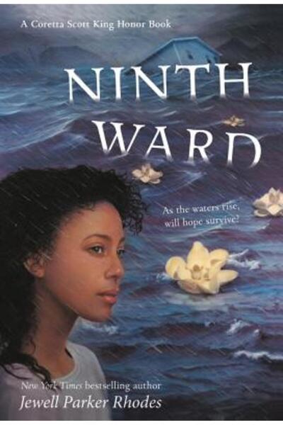 Little Brown & Co Inc Al Nouălea Secție