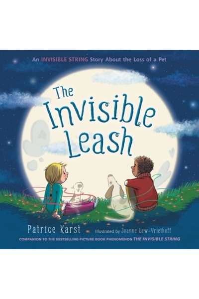 Little Brown & Co Lesa invizibilă: o poveste care celebrează dragostea după p...