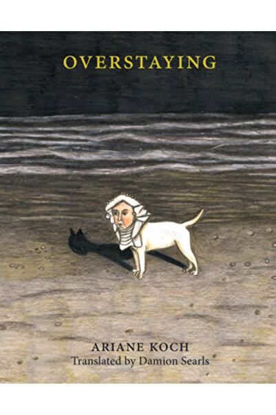 Dorothy A Pub Project Depășirea termenului de ședere