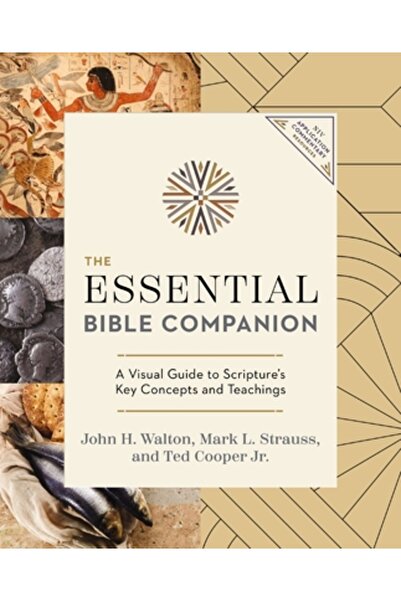 Zondervan The Essential Bible Companion: Key Insights for Reading God's Word