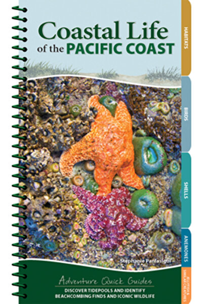Adventurekeen Viața de coastă a coastei Pacificului: Descoperiți bălțile de m...