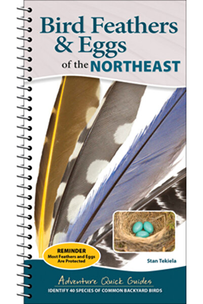 Adventurekeen Pene și ouă de păsări din nord-est: Identificați 40 de specii d...