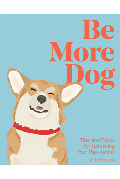 Quadrille Fii mai caine: sfaturi și trucuri pentru a-ți debloca tensiunile labei