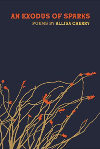 Michigan St Univ Pr An Exodus of Sparks