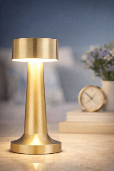 AKIN PAZAR Dalya Dokunmatik Şarj Edilebilir Dekoratif Masa Lambası – 3 Işık Modu