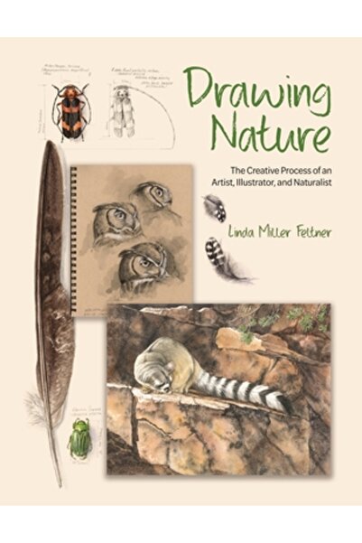 Princeton Univ Pr Desenarea naturii: Procesul creativ al unui artist, ilustra...