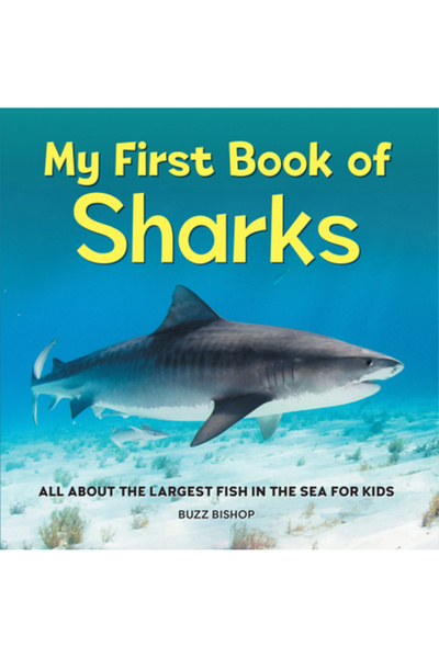 Rockridge Pr Prima mea carte despre rechini: Totul despre cel mai mare pește ...