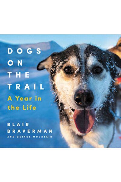 Ecco Pr Câini pe urme: Un an din viață