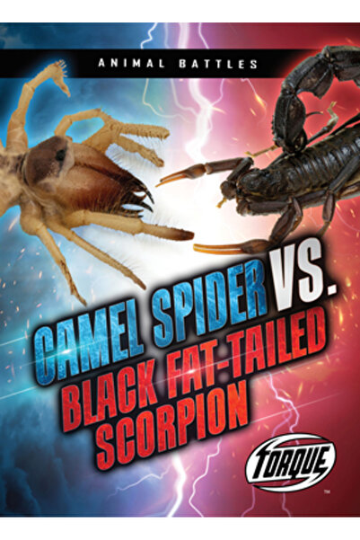 TORQUE Păianjenul-cămilă vs. scorpionul negru cu coadă groasă