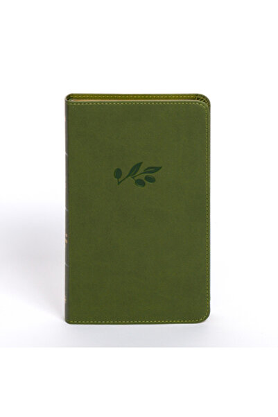 Holman A J Biblia NASB de mărime personală, piele ecologică, măsliniu