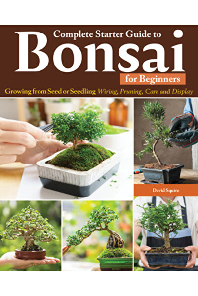 Creative Homeowner Pr Complete Starter Guide to Bonsai for Beginners: Growing...