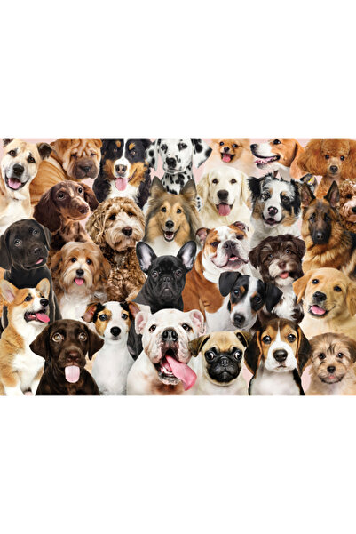Peter Pauper Puzzle de 500 de piese Toți câinii