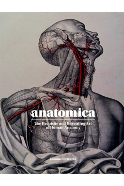 Laurence King Pub Anatomica: Arta rafinată și tulburătoare a anatomiei umane