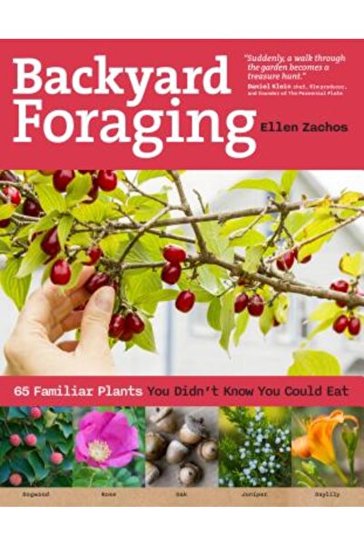 Dodo Pr Cules de plante în curte: 65 de plante familiare pe care nu știai că ...