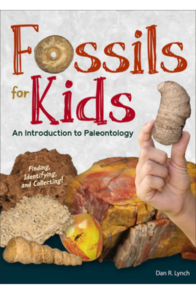 Adventurekeen Fosile pentru copii: Găsirea, identificarea și colecționarea