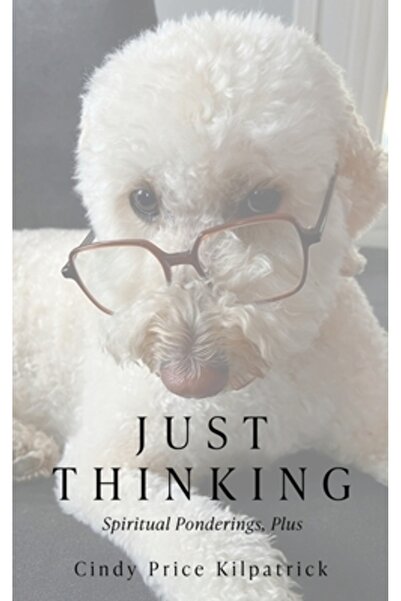 Xulon Pr Doar gândire: reflecții spirituale și altele