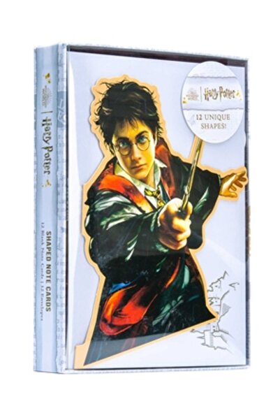 Insight Ed Cărți de notițe decupate în cutie cu Harry Potter