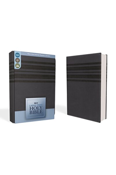 Zondervan Pub House Biblia cu caractere mari - NIRV