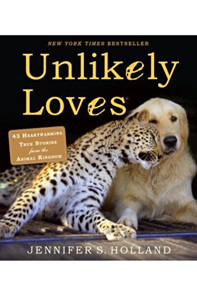 Workman Pub Co Iubiri improbabile