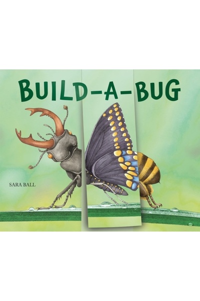 Abbeville Kids Construiește-o-insecte