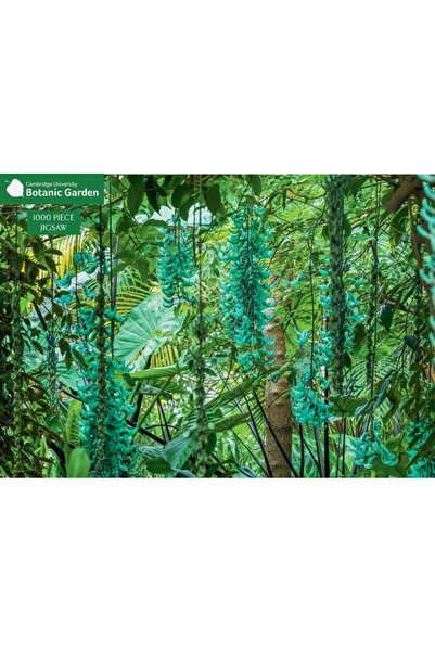 Galileo Publ Puzzle Jade Vine de 1000 de piese: Grădina Botanică a Universită...