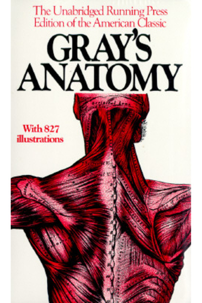 Courage Books Gray's Anatomy