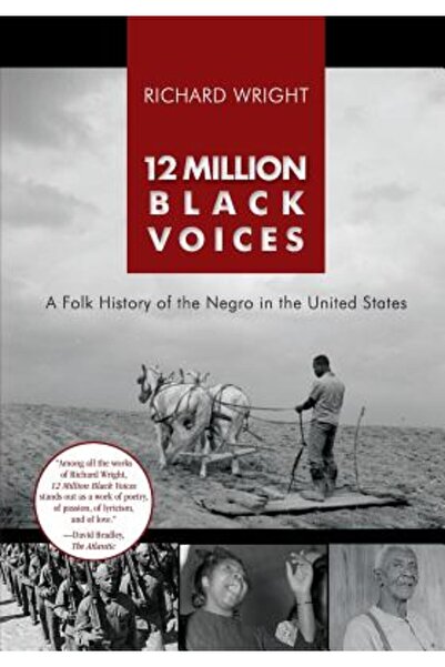 Echo Point Books & Media 12 milioane de voci de culoare