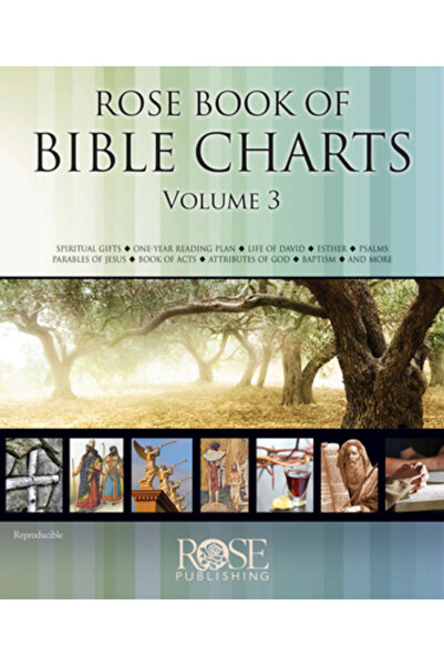 Cambridge Univ Pr Diagrame biblice din cartea Rose, volumul 3