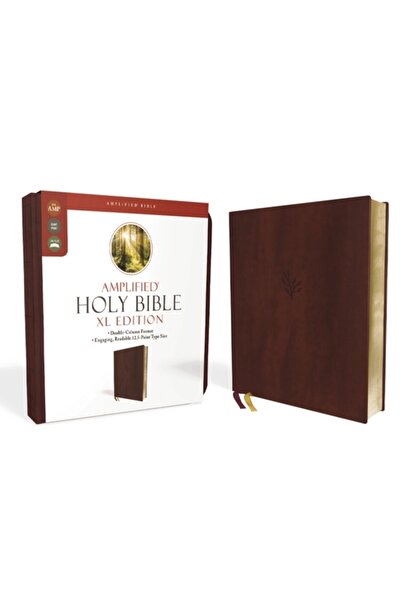 Zondervan Biblia Sfântă Amplificată, Ediția XL, Leathersoft, Burgundia