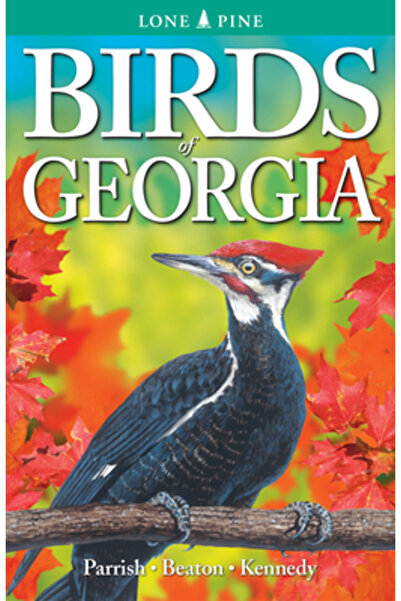 Lone Pine Pub Păsările din Georgia