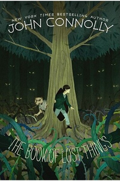 Simon & Schuster Books For You Cartea Lucrurilor Pierdute