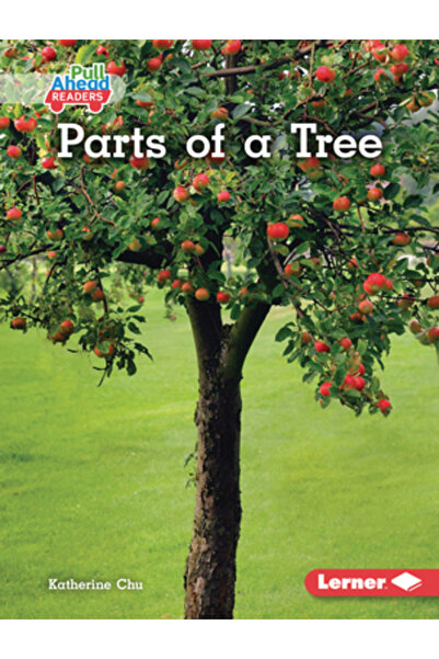 Lerner Pubn Părțile unui copac