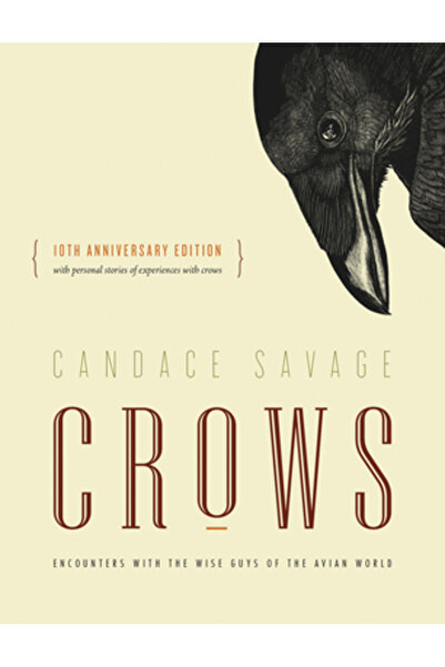 GREYSTONE Ciori: Întâlniri cu băieții înțelepți ai lumii aviare {Ediția anive...