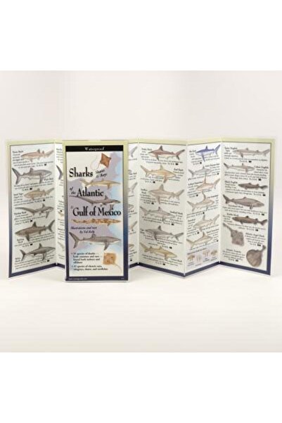 Univ Of Pennsylvania Pr Ghidul suprem pentru rechinii din Atlantic și Golful ...