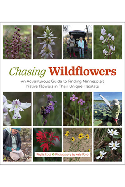 Univ Of Minnesota Pr Urmărind florile sălbatice: Un ghid aventuros pentru a g...