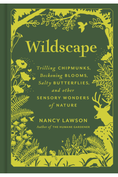 Chronicle Pa Pr Peisaj sălbatic: Veverițe care trilează, flori atrăgătoare, f...