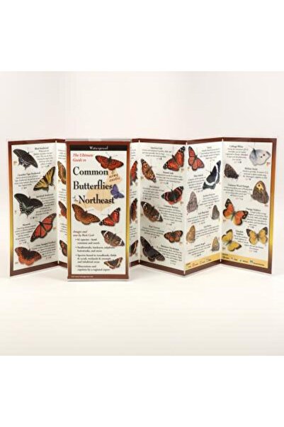 Univ Of Pennsylvania Pr Fluturi comuni din nord-est