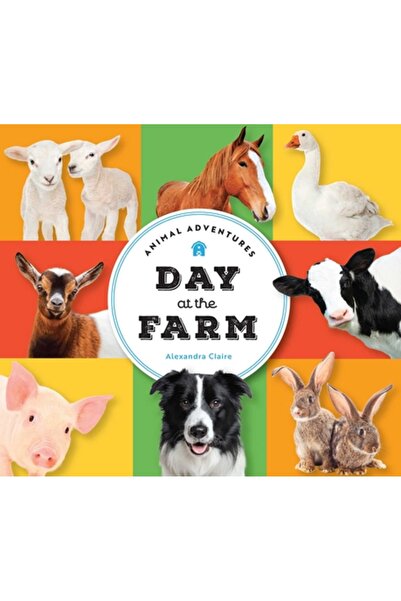 Collective Book Studio Aventuri cu animale: O zi la fermă